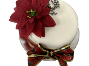 Poinsettia