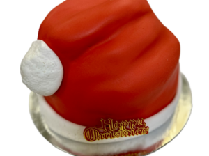 Santa Hat