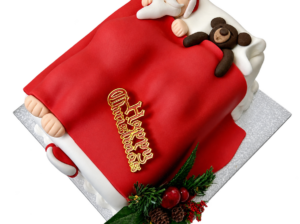 Sleeping Santa